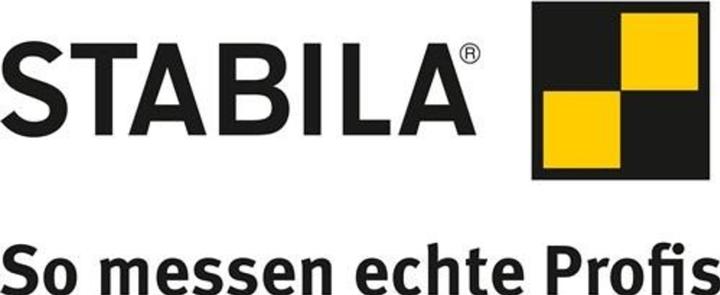 Actual product image Stabila Elektronik-Wasserwaage TECH 196 DL (23 cm)