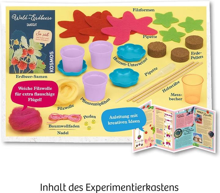 Image du produit Kosmos Fraises de fée