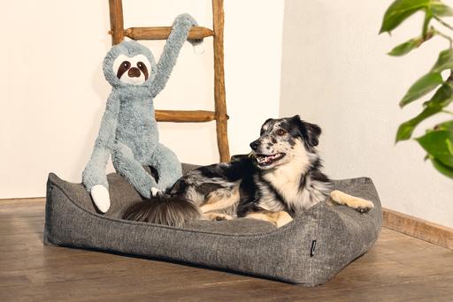 Actual product image Beeztees Zia (Dog)
