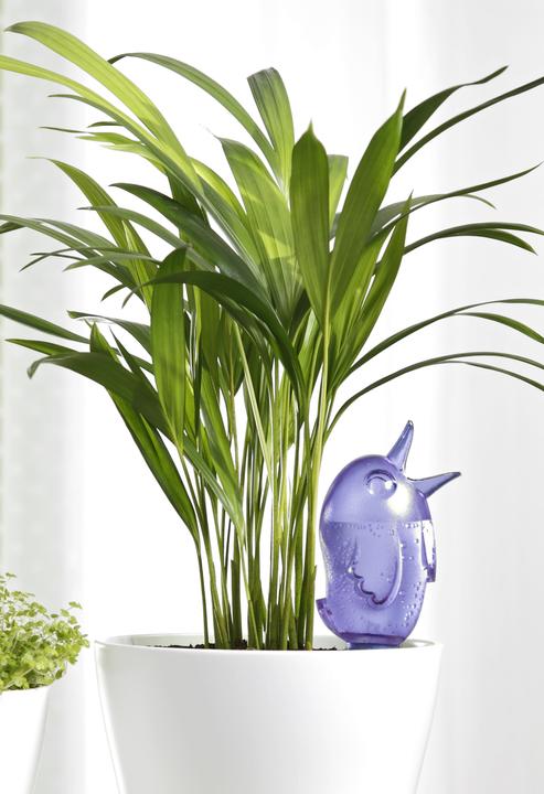Actual product image Scheurich Bördy S (Clay cone)