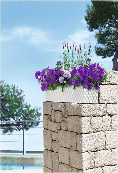 Actual product image Lechuza Balconera Cottage (19 cm)