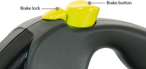 Actual product image Flexi Giant (L, Dog, Walks, General)