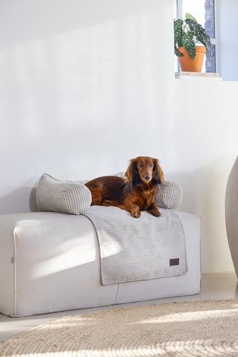 Image du produit Designed by Lotte Ribbed (Chien)