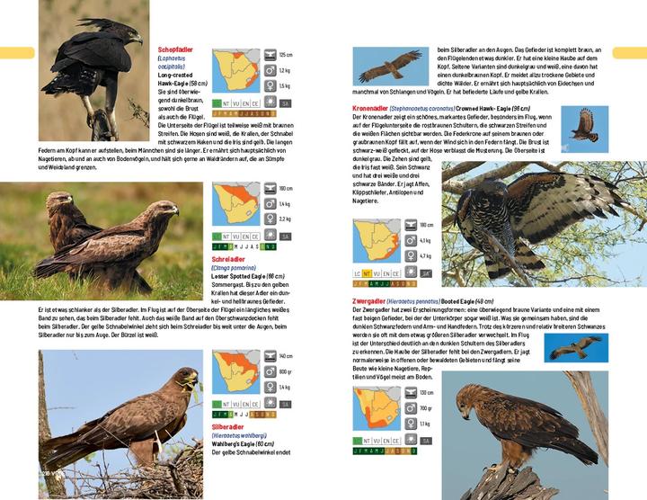Produktbild Afrika Safari Media Safari-Reiseführer Südliches Afrika (Deutsch, Ruud Troost, 2023)