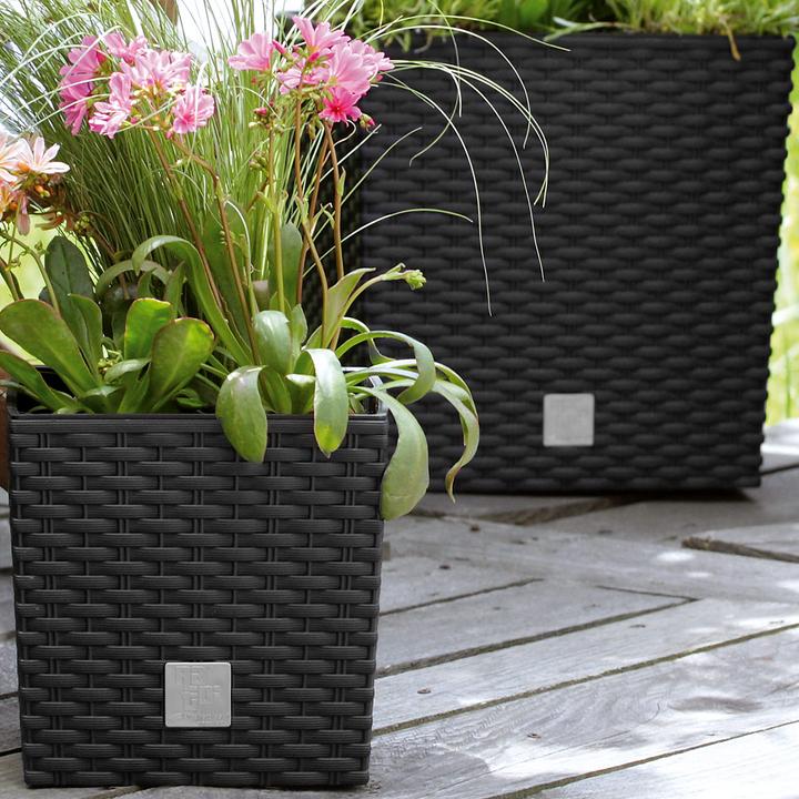 Immagine prodotto Deuba vaso da fiori (39 cm)