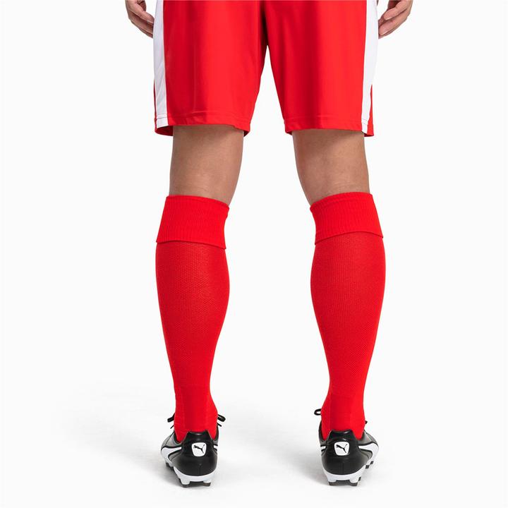 Actual product image Puma Team LIGA Socks-703438 (31, 34)