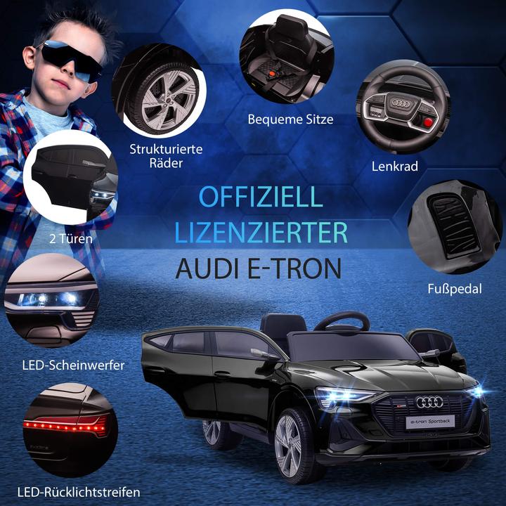 Image du produit Jamb Audi e-tron (12 V)