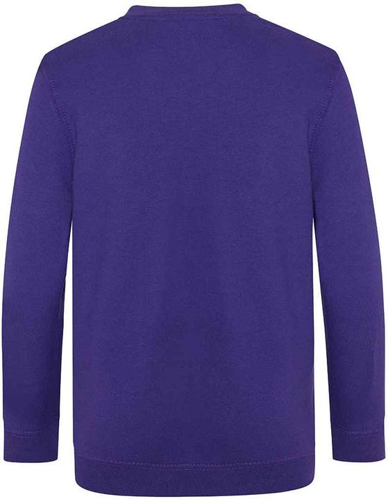 Image du produit Awdis - Sweat ACADEMY - Enfant (146, 152)