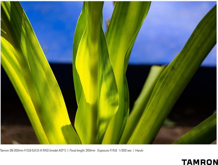 Actual product image Tamron AF 28-200mm f/2.8-5.6 Di III RXD, Sony E (Sony E, full size)