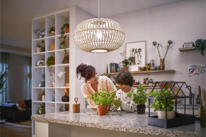 Actual product image Philips LED Classic (E27, 2.30 W, 485 lm, 1 x, A)