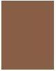 Actual product image NYX Professional Make-Up Nyx Concealers (14 Sienna)