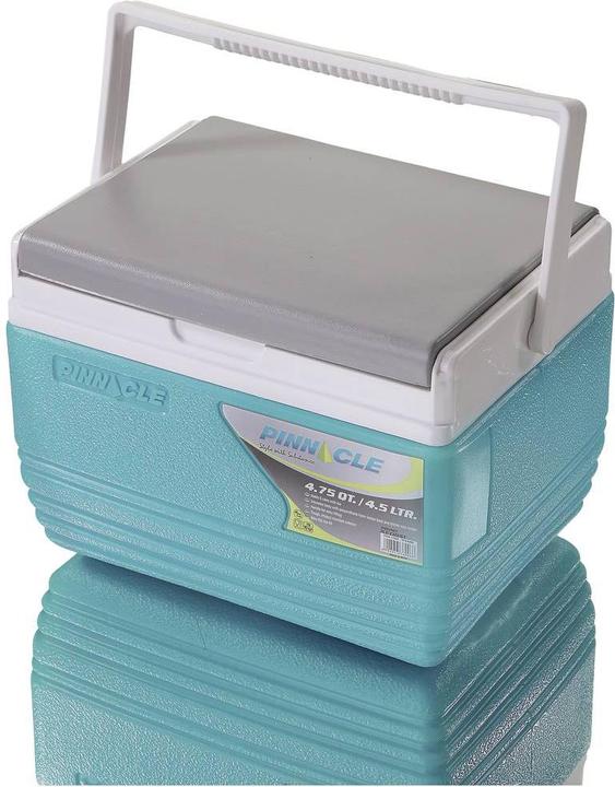 Actual product image Zorn Cool box Zp 25l + 4.5l + 2.0l Combo (25 l)