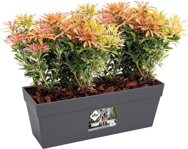 Actual product image Elho Loft Urban (17 cm)
