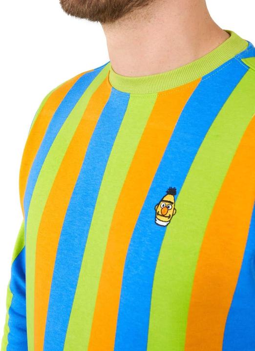 Produktbild OppoSuits – Sesamstrasse Bert Pullover (XL)