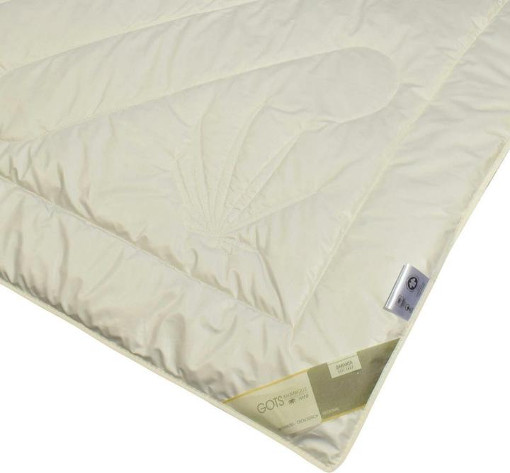 Actual product image Traumschlaf Organic hemp (750 g, 155 x 220 cm)