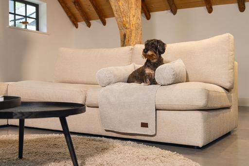 Image du produit Designed by Lotte Ribbed (Chien)