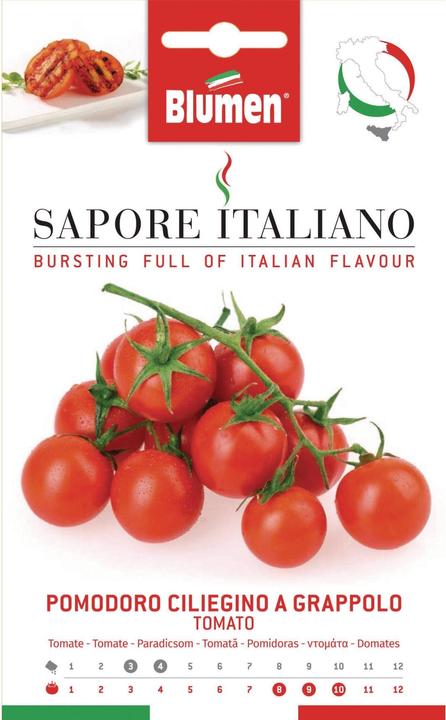 Actual product image Blumen Tomato Ciliegino a Grappolo (Vegetable seeds)