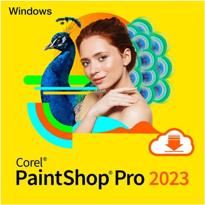 Actual product image Corel PaintShop Pro 2023 (Key) (1 User, 1 Devices/Users, unlimited)