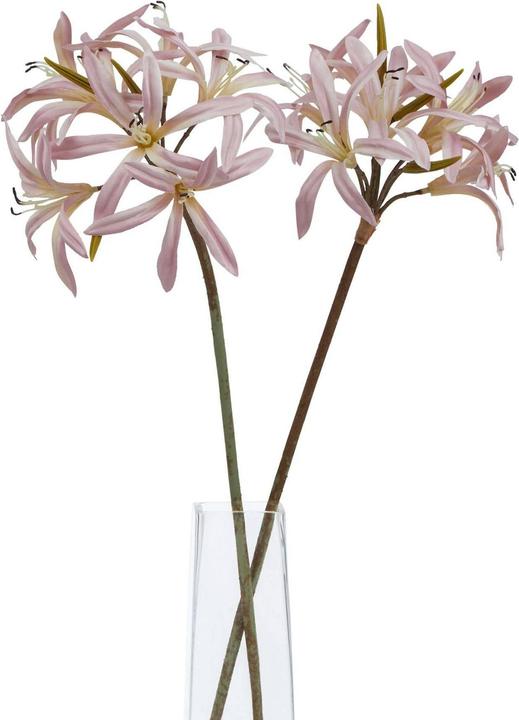 Immagine prodotto Hill Interiors Kunstblume (61 cm)