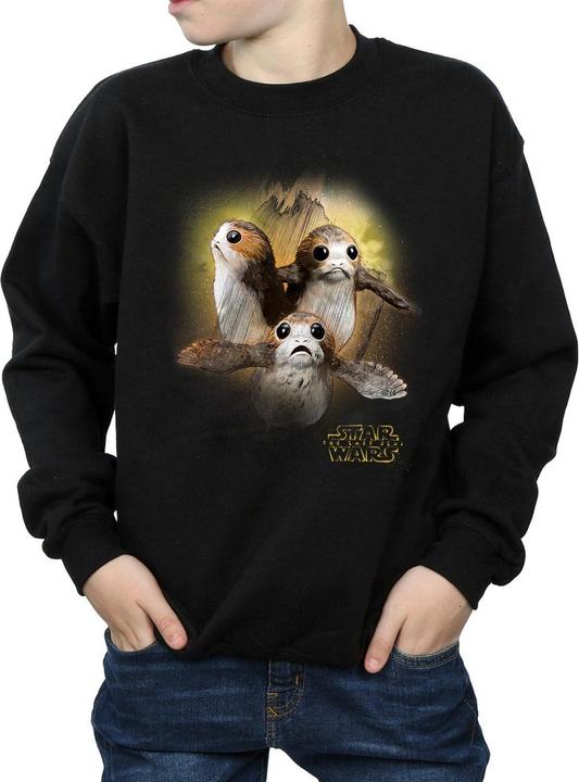 Actual product image Star Wars Boys The Last Jedi Porgs Brushed Sweatshirt (152, 158)