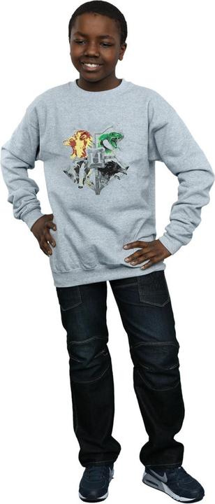 Image du produit - Sweat HOGWARTS PAINTED CREST - Garçon (140, 146)