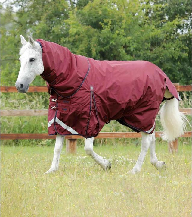 Premier Equine Buster 400 g