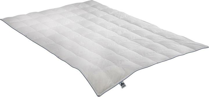 Image du produit Irisette Couette Laura légère, remplissage : 100% duvet d'oie (300 g, 200 x 200 cm)