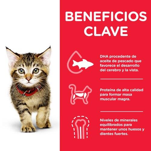 Immagine prodotto Hill's Science Plan Kitten Sviluppo Sano, Pollo (Junior, 1 pz., 85 g)