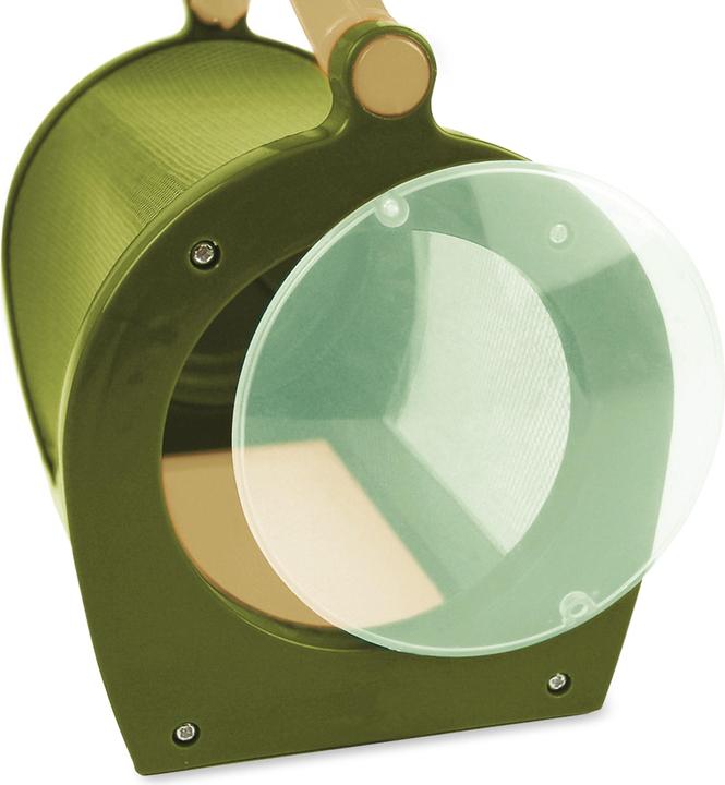 Scout maison des insectes