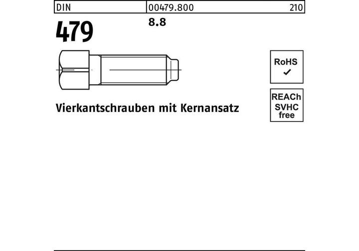 Actual product image Square head screw DIN 479 w.core socket M 10 x 25 8.8 (50 Screws per piece)