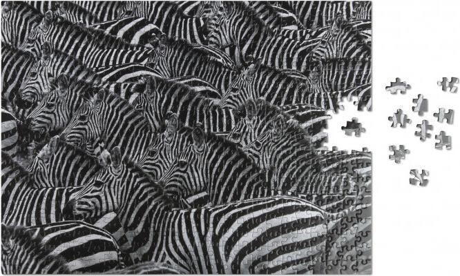 Produktbild Helvetiq Puzzle Zebra, Wildlife Pattern (500 Teile)