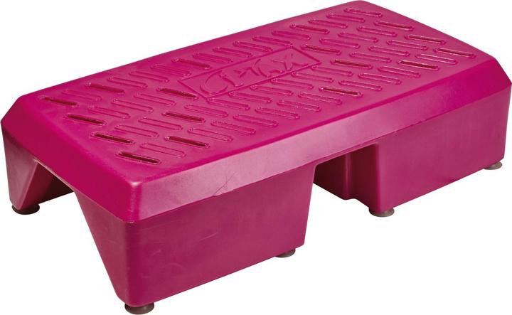 Immagine prodotto Kübler Sport Aqua Step, con ventose