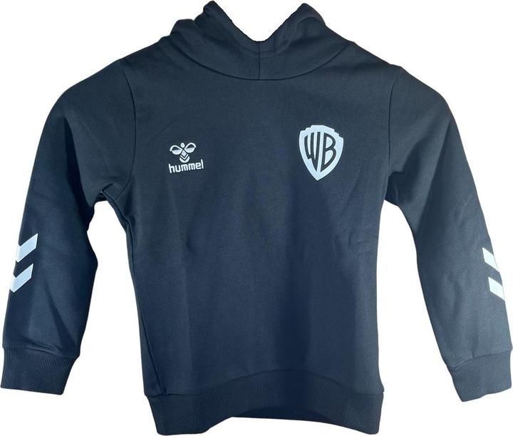 Produktbild hummel Hmlcelebrating Story Hoodie (134)
