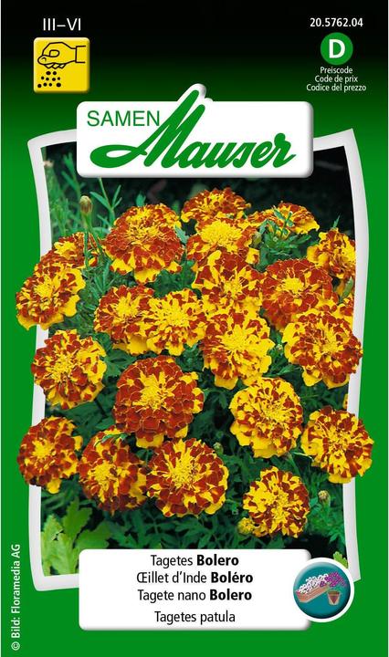 Actual product image Samen Mauser Tagetes Bolero (Flower seeds)
