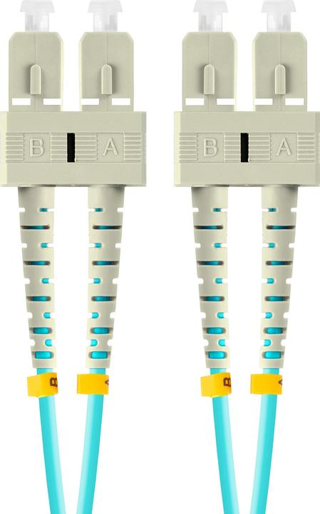 Immagine prodotto Lanberg FO-SUSU-MD31-0010-TQ (S/UTP, CAT7, 1 m)