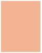 Actual product image Revlon Colorstay (200 Nude)