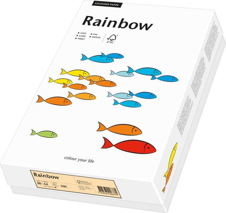 Image du produit Rainbow Papier à copier de couleur A4 (160 g/m², 250 x, A4)