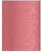 Produktbild Dior Addict Lip Maximizer (012 Rosewood)