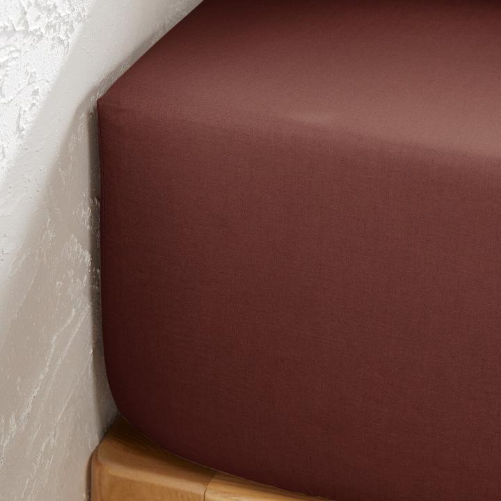 Actual product image La Redoute Interieurs Scenario Polycoton (120 x 190 cm)