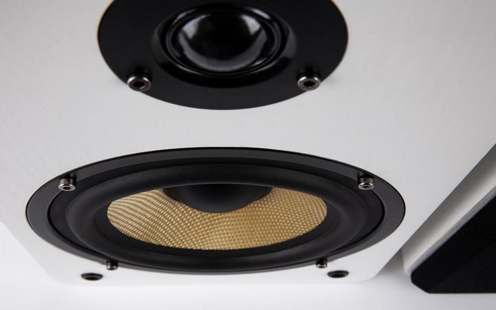 Image du produit Audioblock SPEAKER S-250 (PAIR) (1 paire, 40 W)