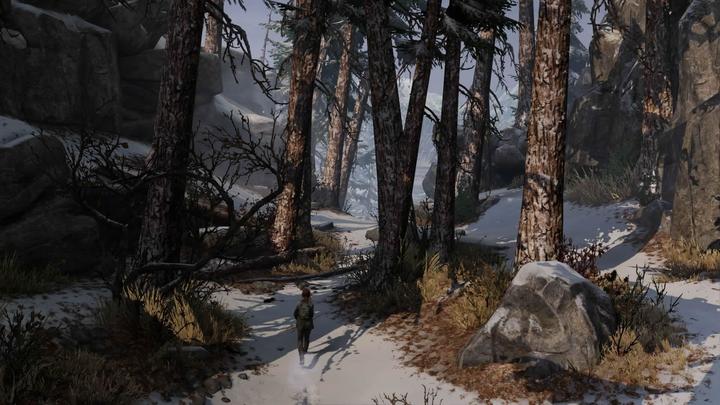 Actual product image Sony The Last of Us Remastered (PS4, IT)