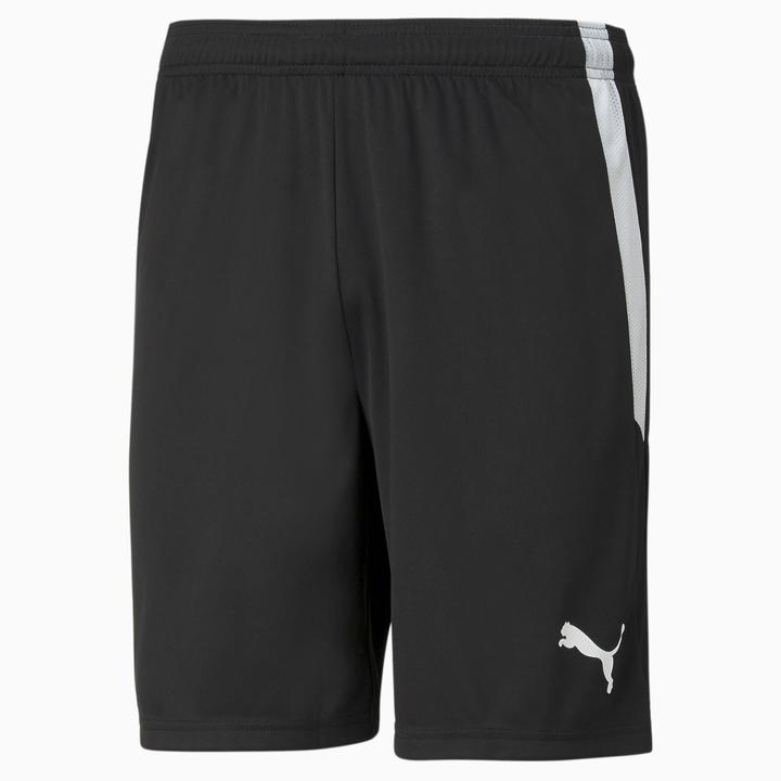 Actual product image Puma teamLIGA Shorts-704924 (XXL)