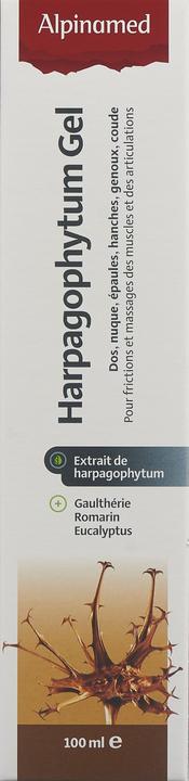 Actual product image Alpinamed Devil's Claw OintmentGel (1 x, 100 ml, 120 g)