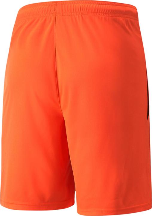 Actual product image Puma teamLIGA Shorts-704924 (S)
