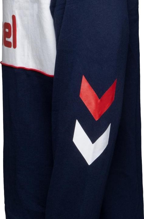 Actual product image hummel Ic Durban Half Zip Sweatshirt (M)