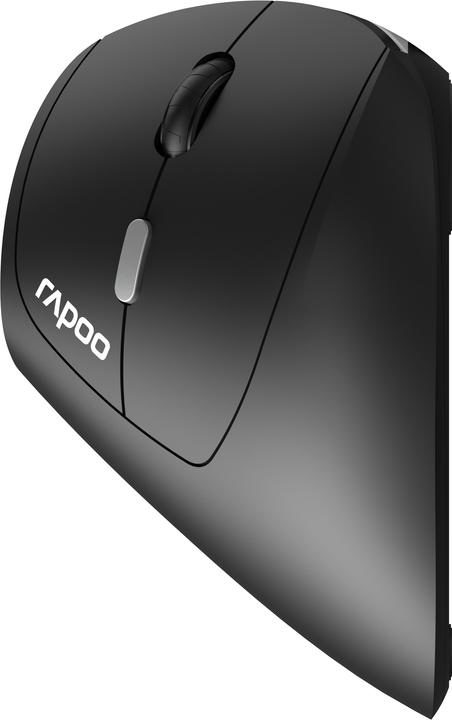 Rapoo EV250 Maus rechts RF Wireless Optisch 1600 DPI (Kabellos)