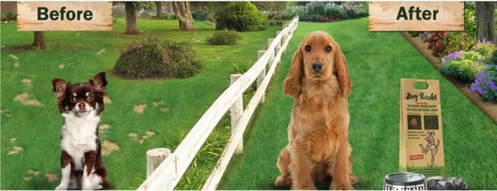 Productafbeelding Dog Rocks Parker (Hond)