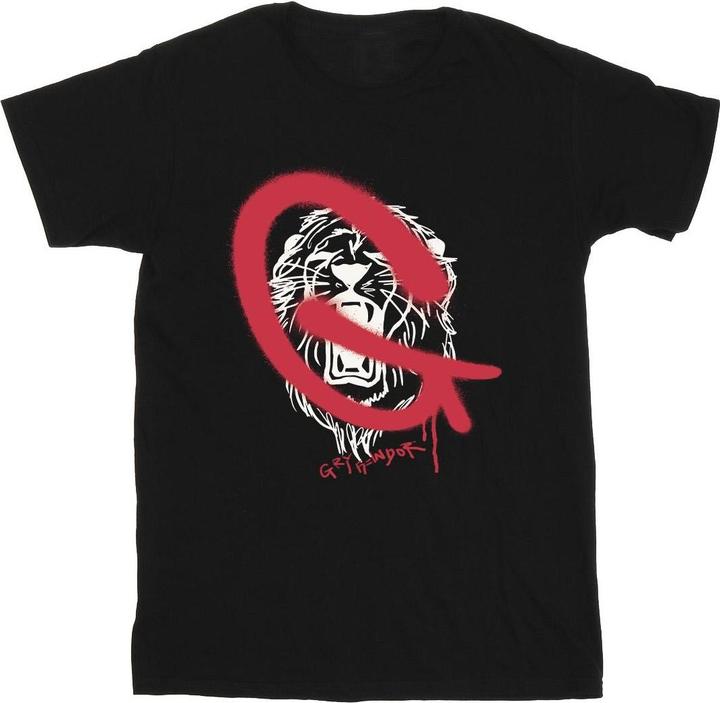 Produktbild Gryffindor Pop Spray TShirt Jungen (140, 146)