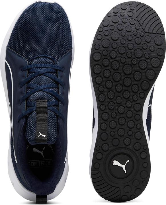 Image du produit Puma Softride Carson (38)