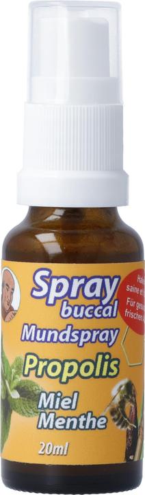 Immagine prodotto Bioligo Spray buccal Père Michel Propolis (20 ml, Spray per bocca)
